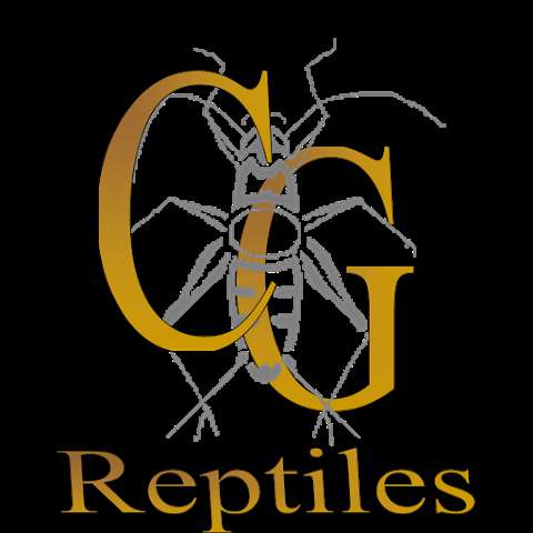 CG Reptiles Inc
